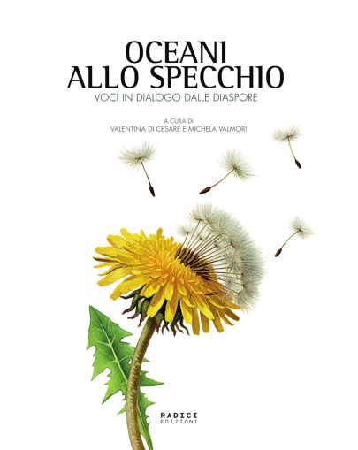 Oceani allo specchio copertina sito